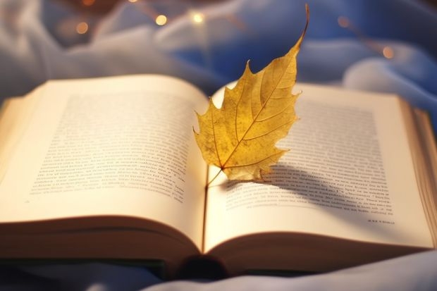 广东双一流的专科学校排名 广东省双高计划专科学校排名