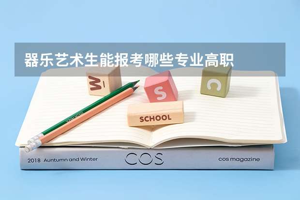 器乐艺术生能报考哪些专业高职