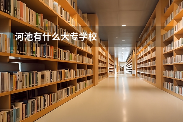 河池有什么大专学校