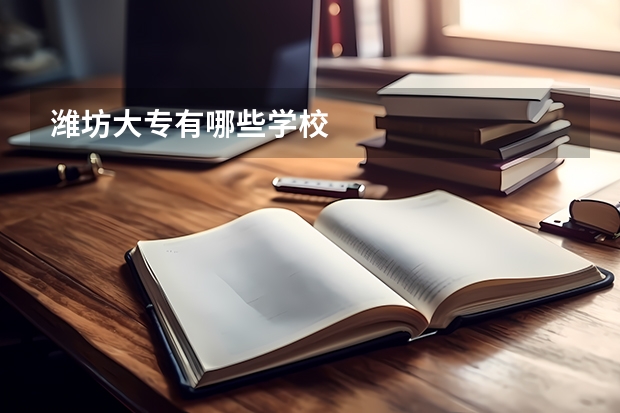 潍坊大专有哪些学校