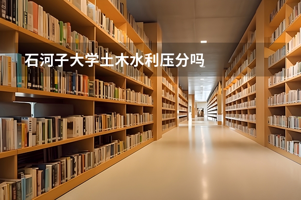 石河子大学土木水利压分吗