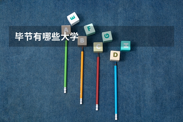 毕节有哪些大学