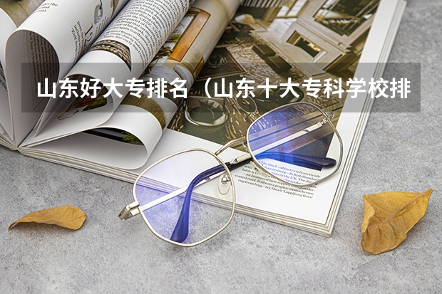 山东好大专排名（山东十大专科学校排名）