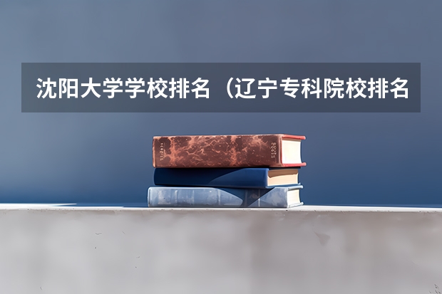 沈阳大学学校排名（辽宁专科院校排名）