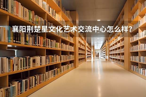 襄阳荆楚星文化艺术交流中心怎么样？
