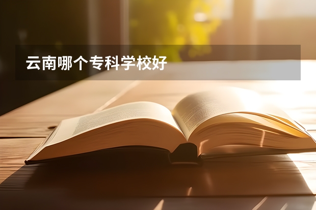 云南哪个专科学校好