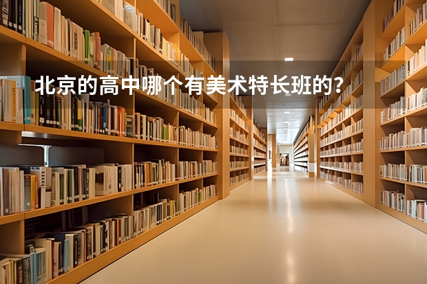 北京的高中哪个有美术特长班的？