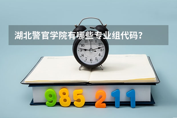 湖北警官学院有哪些专业组代码?