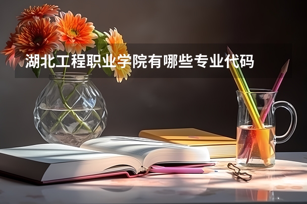 湖北工程职业学院有哪些专业代码