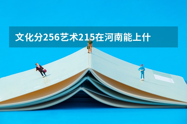 文化分256艺术215在河南能上什么大专?