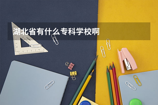 湖北省有什么专科学校啊