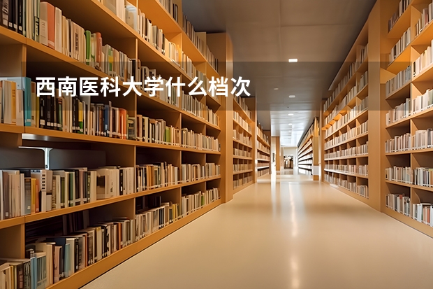 西南医科大学什么档次