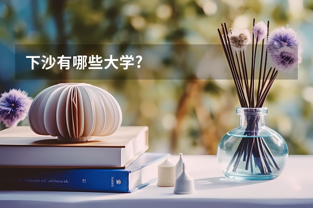 下沙有哪些大学?