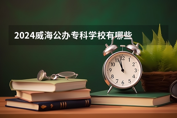 2024威海公办专科学校有哪些