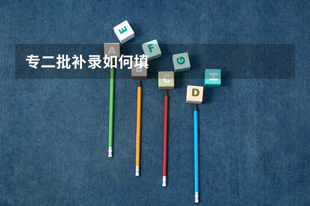 专二批补录如何填
