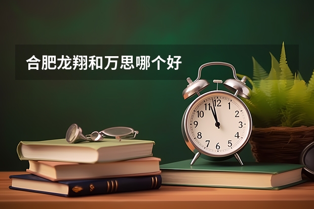 合肥龙翔和万思哪个好