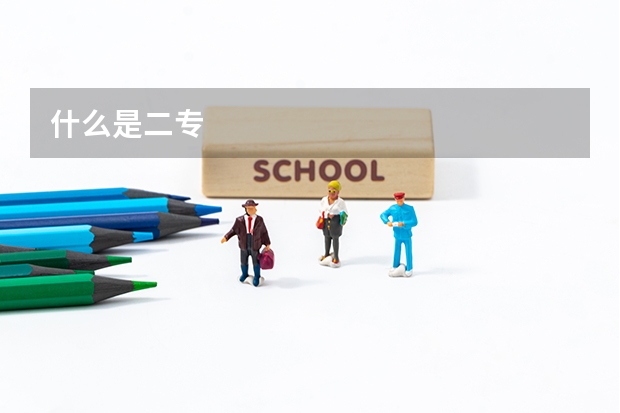 什么是二专