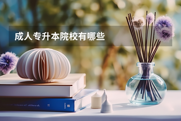 成人专升本院校有哪些