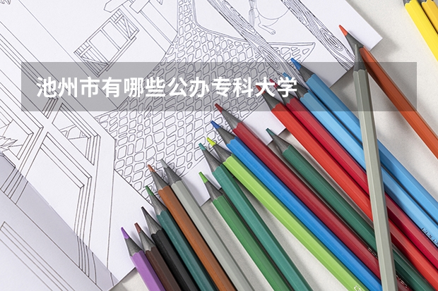 池州市有哪些公办专科大学