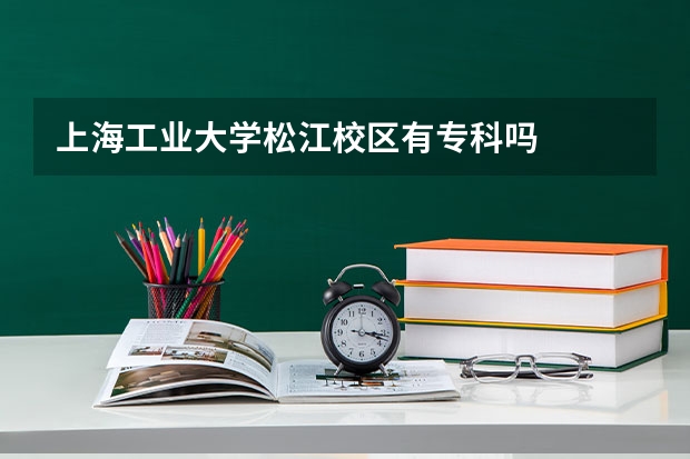 上海工业大学松江校区有专科吗