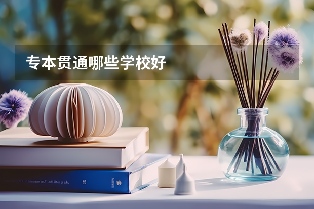 专本贯通哪些学校好