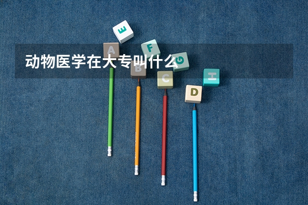 动物医学在大专叫什么