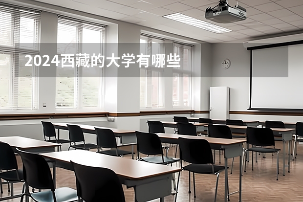 2024西藏的大学有哪些