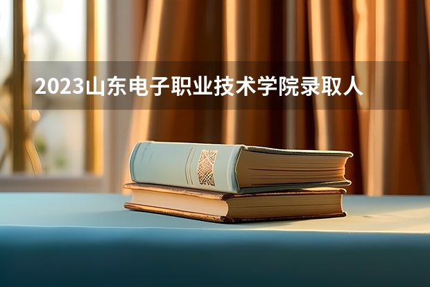 2023山东电子职业技术学院录取人数 2023山东电子职业技术学院招生计划