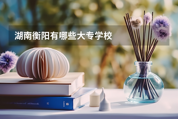 湖南衡阳有哪些大专学校