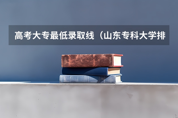 高考大专最低录取线（山东专科大学排名及录取分数线）