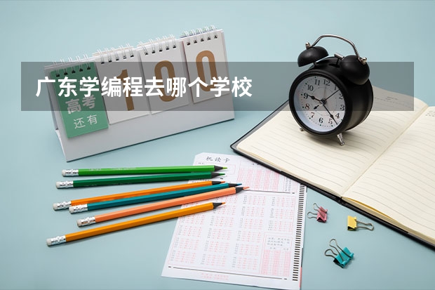 广东学编程去哪个学校