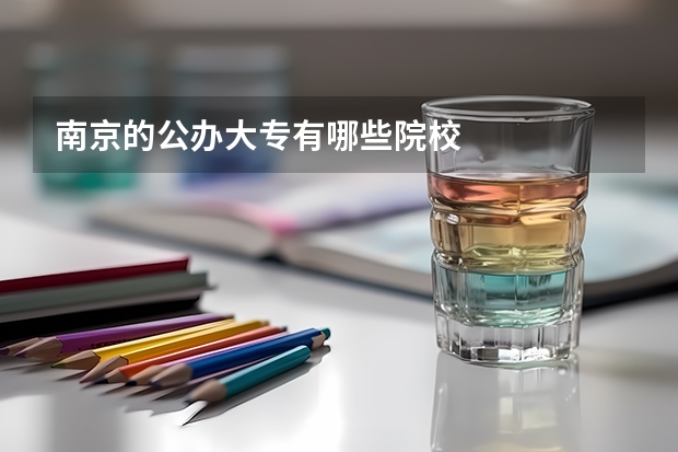 南京的公办大专有哪些院校