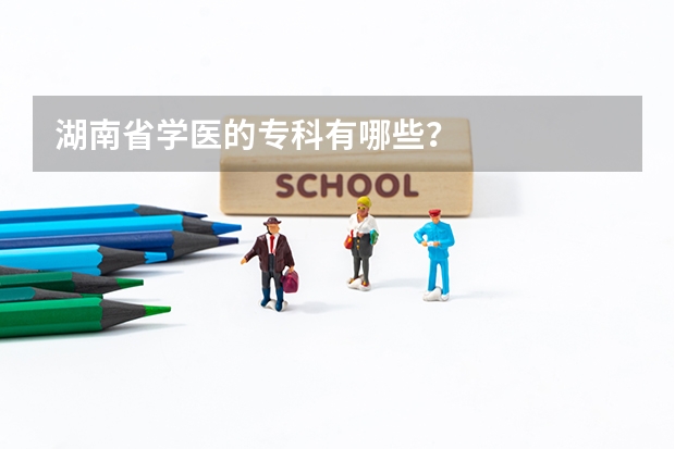 湖南省学医的专科有哪些？