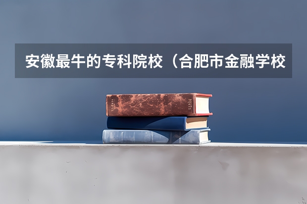安徽最牛的专科院校（合肥市金融学校学校简介）