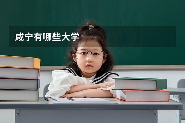 咸宁有哪些大学
