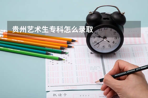 贵州艺术生专科怎么录取