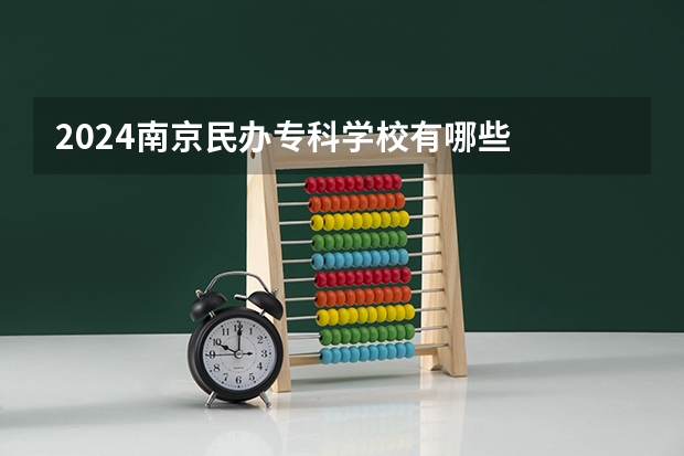 2024南京民办专科学校有哪些