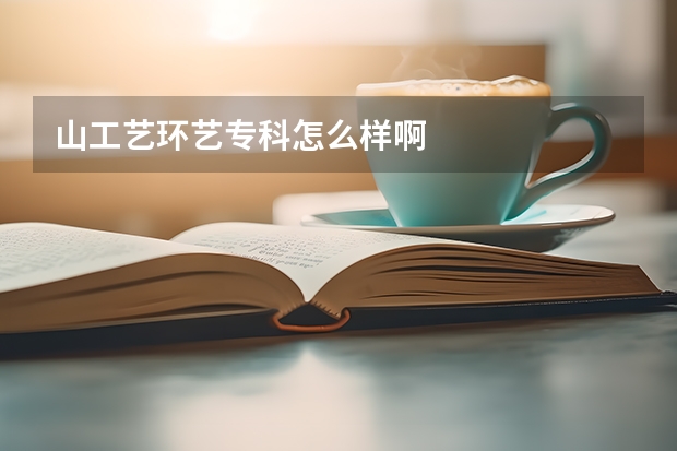 山工艺环艺专科怎么样啊