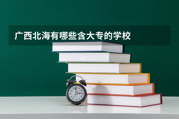 广西北海有哪些含大专的学校