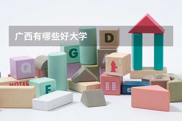 广西有哪些好大学