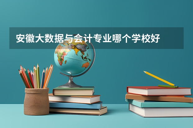 安徽大数据与会计专业哪个学校好