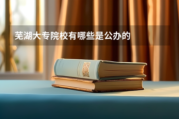 芜湖大专院校有哪些是公办的
