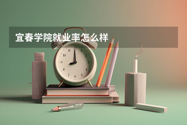 宜春学院就业率怎么样