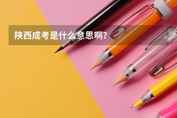 陕西成考是什么意思啊？