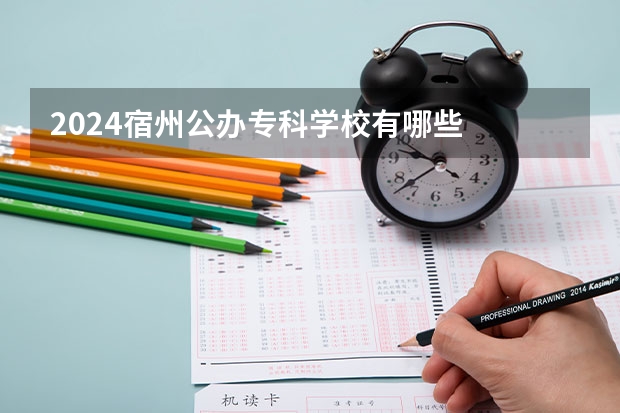 2024宿州公办专科学校有哪些