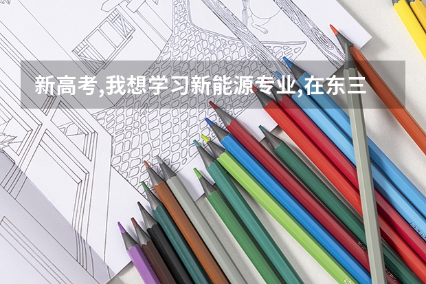 新高考,我想学习新能源专业,在东三省怎么样选大学