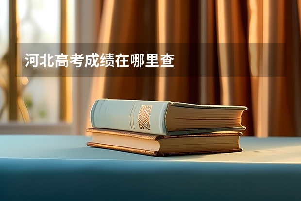 河北高考成绩在哪里查