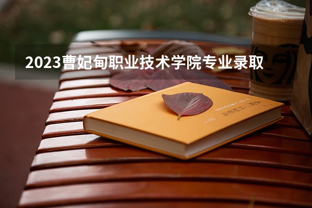 2023曹妃甸职业技术学院专业录取分数线 曹妃甸职业技术学院专业排名