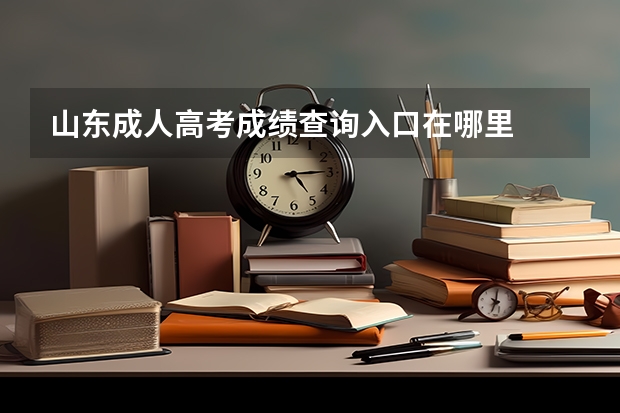 山东成人高考成绩查询入口在哪里