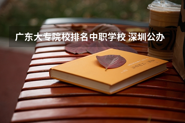 广东大专院校排名中职学校 深圳公办大专排名